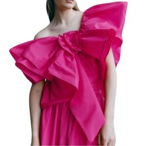 NWT Zara Fuschia Pink Voluminous Asymmetric One Shoulder Ruffled Crop Top - M